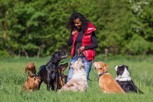 Eindrücke vom Dogwalking von Indira Paasch - Menschensköter