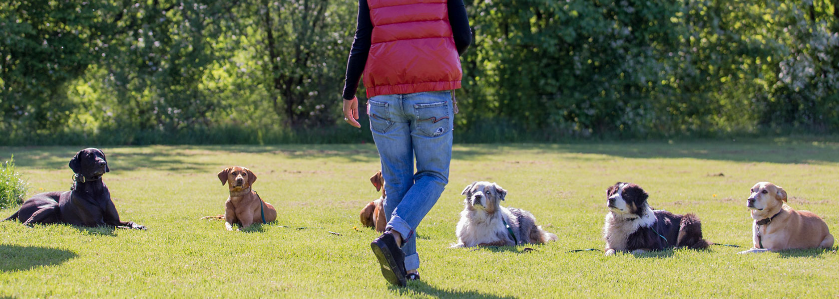 Dogwalking von Indira Paasch - MenschensKöter