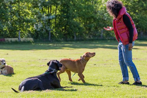 Eindrücke Training