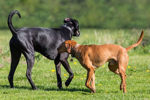 Eindrücke Training