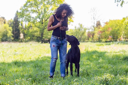 Hundetraining von Indira Paasch in Berlin