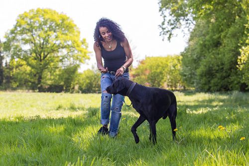 Hundetraining von Indira Paasch in Berlin