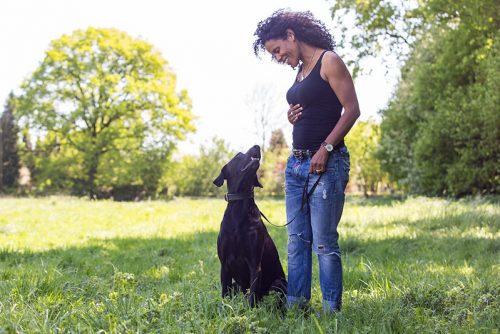 Hundetraining von Indira Paasch in Berlin