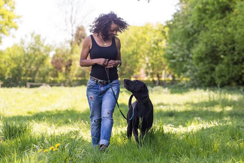 Hundetraining von Indira Paasch in Berlin