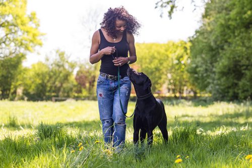 Hundetraining von Indira Paasch in Berlin