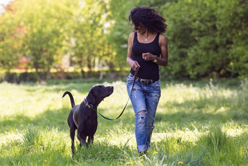 Hundetraining von Indira Paasch in Berlin